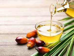 Palm Oil 
